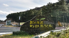 붉은오름자연휴양림