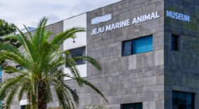 제주해양동물박물관