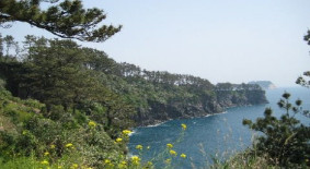 제주올레 7코스