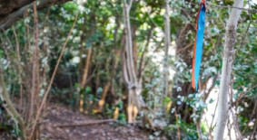 제주올레 6코스