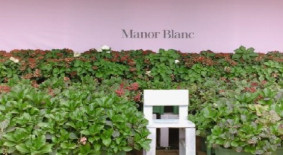 마노르블랑